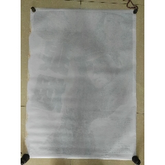 里尔天主教大学 Science and technology diploma